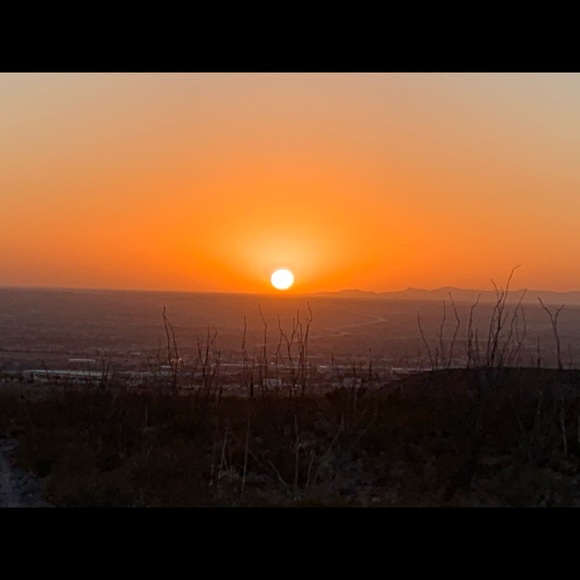 Meet your Posher, Alfonso - Picture 1 of 1